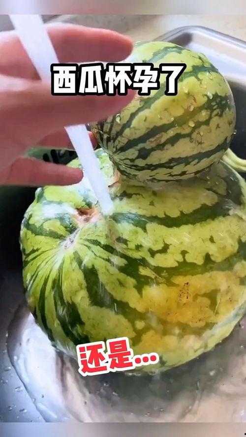 吃瓜专用配音视频,揭秘配音视频背后的趣味与魅力