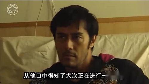 泰国大叔吃瓜视频下载安装,下载安装攻略一网打尽