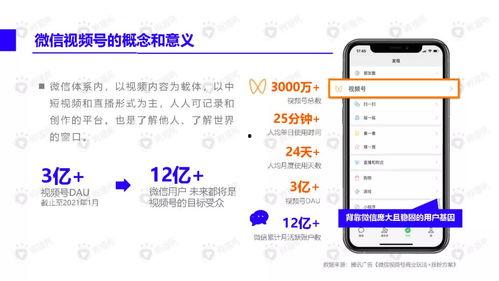 网红吃瓜胖子视频下载,揭秘幕后故事与热门话题