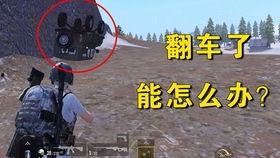 吃角瓜翻车视频,意外连连，笑料百出