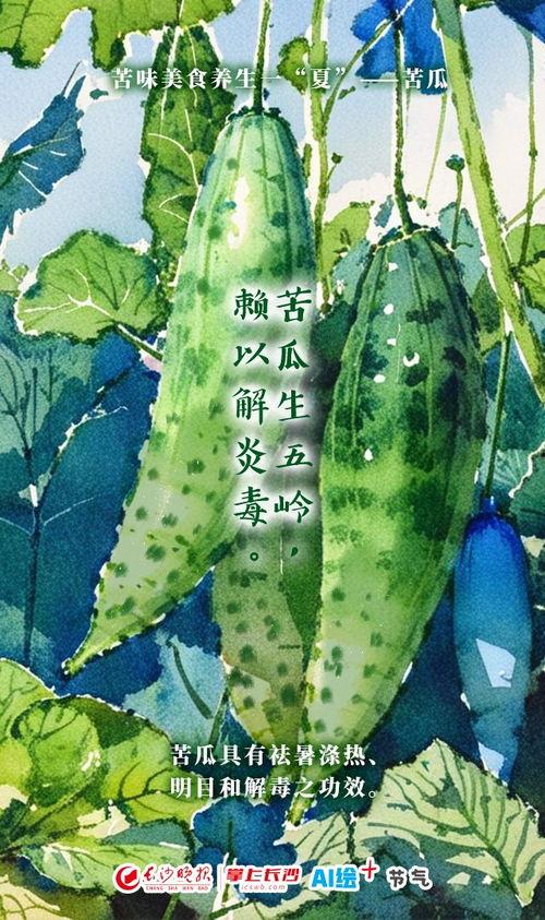 大暑吃瓜的视频,跟随视频探寻传统食俗