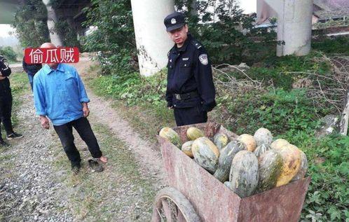 唐河吃瓜事件真相揭秘视频,揭秘背后真相与争议