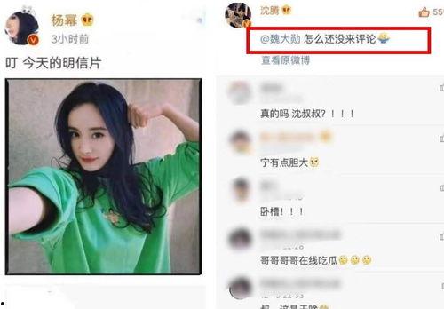 吃瓜名场面视频,揭秘吃瓜名场面背后的趣味瞬间
