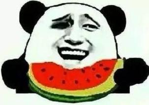 二狗子吃瓜群众视频大全,揭秘网络视频背后的趣味人生