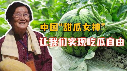 中国人吃瓜的视频,吃瓜群众眼中的瓜界风云