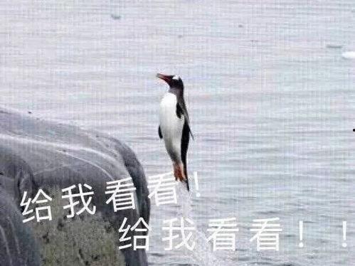 带你吃瓜捉鸭子游戏视频,带你一窥“吃瓜捉鸭子”游戏精彩瞬间