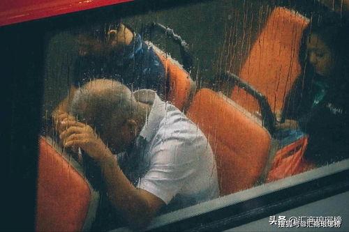 潘南奎被暴吃瓜视频在线观看,揭秘网络暴力的双重效应