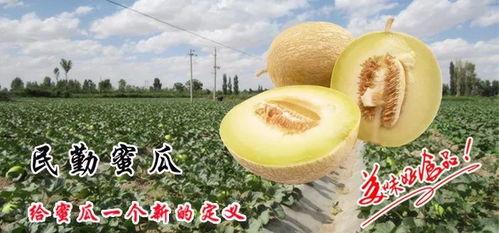 民勤人吃瓜视频,瓜香四溢引网友热议