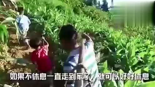 吃瓜视频精品猛,揭秘热门猛料，带你领略娱乐风云