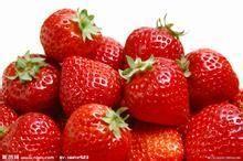 苏瓜怎么样吃减肥最快视频,跟着视频轻松享瘦