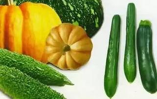 吃瓜视频都是在哪,吃瓜视频的生成奥秘