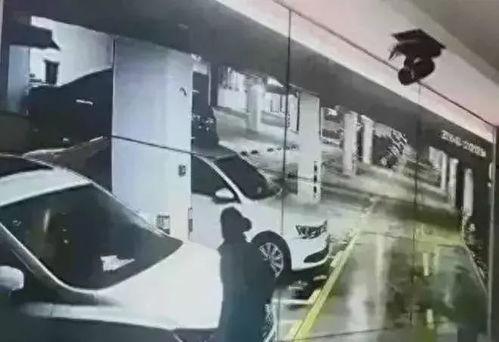 福田金融圈吃瓜事件视频,揭秘幕后真相与网络热议