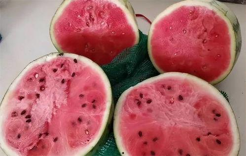 吃瓜视频鉴定真假,真假鉴定指南