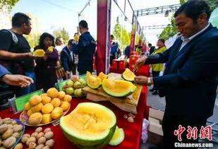 邯郸最新吃瓜事件视频,视频揭秘惊人真相