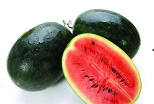 老六吃大瓜视频,一场美食与娱乐的盛宴