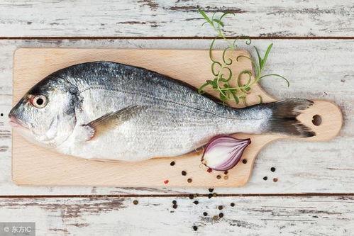 吃八瓜鱼视频大全,视频大全带你领略风味佳肴