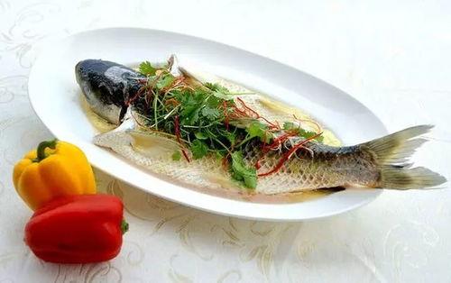 吃八瓜鱼视频大全,视频大全带你领略风味佳肴