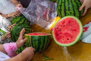 吃瓜视频处理,网络舆论场中的娱乐与真相