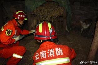 消防员吃小瓜视频下载,网友热议消防员日常趣味瞬间