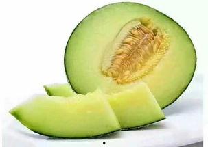 熊猫主播吃蜜瓜视频大全